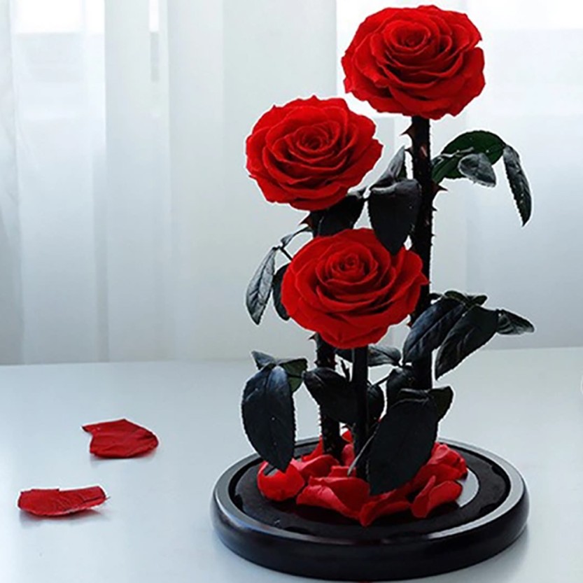 Луксозна вечна роза в стъкленица Beauty Roses, Червен
