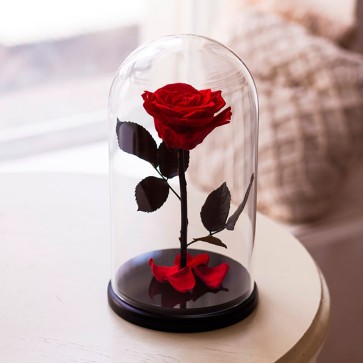 Composition in Glass Beauty Rose Red "Вечна Роза"