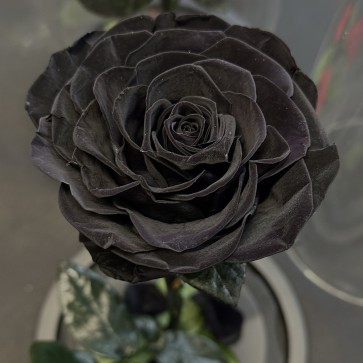Composition in Glass Beauty Rose Black "Вечна Роза"