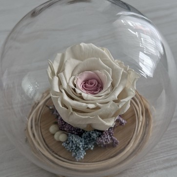 Вечна роза в стъкленица - Princess Light Pink