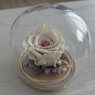 Вечна роза в стъкленица - Princess Light Pink