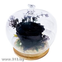 Вечна роза в стъкленица - Black Lady
